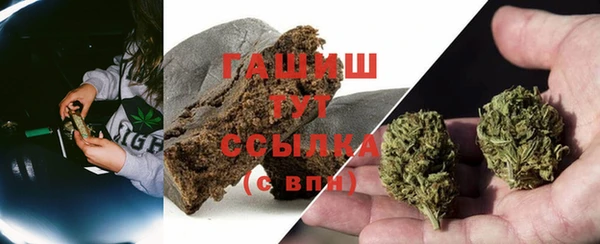 прущий лед Бородино