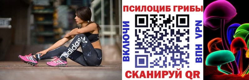 МЕГА рабочий сайт Вилюйск Псилоцибиновые грибы GOLDEN TEACHER